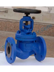 DIN good quality wcb bellow globe valve